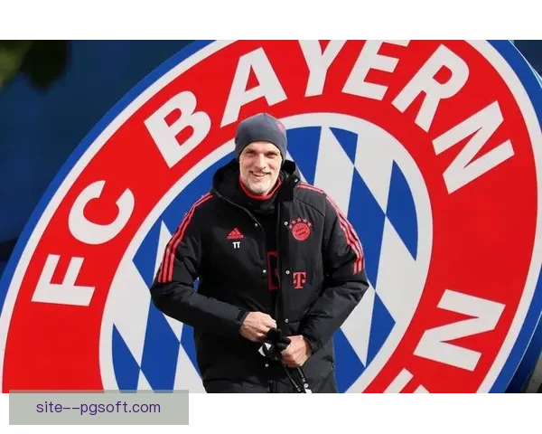 拜仁四大皆空震动德甲图赫尔下课豪门重建与权力博弈全面爆发新局